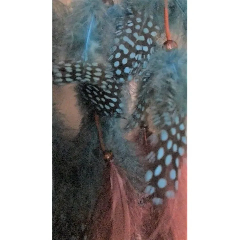 Beautiful Dream Catcher